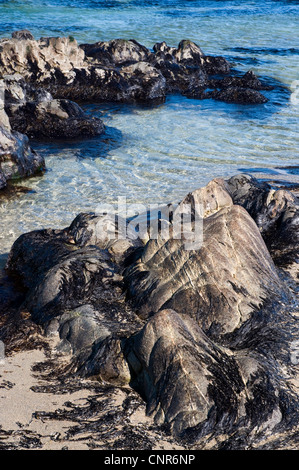 Saligo bay, Regno Unito, Scozia, Islay Foto Stock