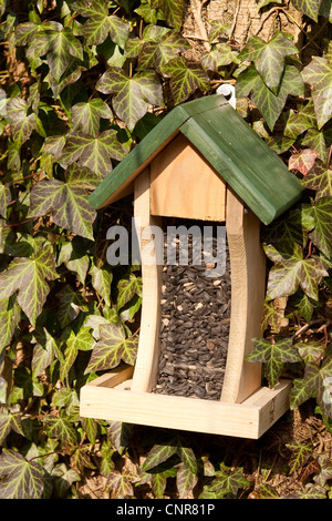 Bird Feeder riempito con semi di girasole Foto Stock