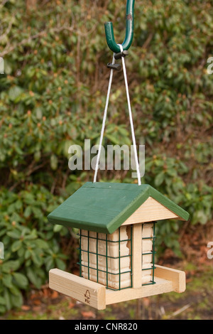Bird Feeder con suet Foto Stock