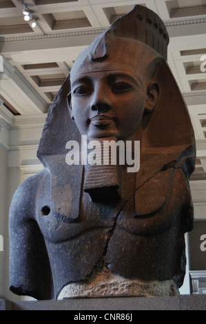 L'Egitto. Statua colossale di Ramesse II, il giovane Memnone. C. 1250 BC. Xix dinastia. Nuovo Regno. Il granito. Foto Stock