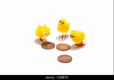Tre pulcino di Pasqua decorazioni guardando penny monete Foto Stock