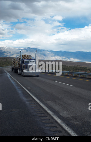 Camion che trasportano registri nel paesaggio rurale Foto Stock