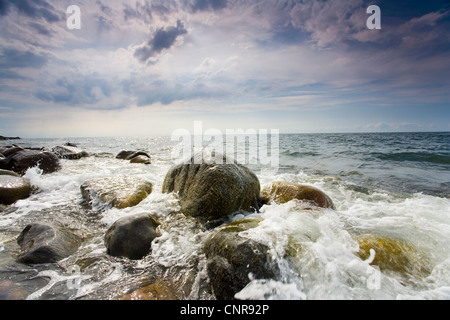 Costa di Hiddensee, Germania, Meclemburgo-Pomerania, Hiddensee Foto Stock