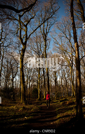 Una donna si ferma a prendere in vista mentre si cammina per la West Highland Way sulle rive di Loch Lomond in Scozia Foto Stock