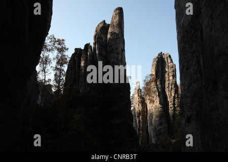 Prachov rocce al paesaggio protetto area il Paradiso Boemo nella Boemia centrale, Repubblica Ceca. Foto Stock