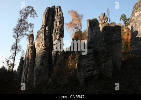 Prachov rocce al paesaggio protetto area il Paradiso Boemo nella Boemia centrale, Repubblica Ceca. Foto Stock
