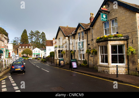 Orso e Swan Pub Bar Inn di Chew Magna Village Foto Stock