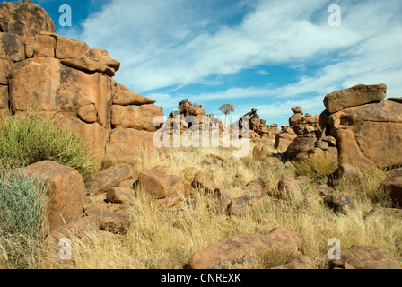 Gigantesco parco giochi, Namibia, Keetmanshoop Foto Stock