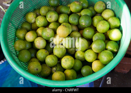 Limes in cestino Foto Stock