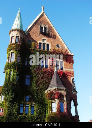 Boston ivy, Giapponese di superriduttore (Parthenocissus tricuspidata), in corrispondenza di una vecchia casa, Germania Amburgo Foto Stock