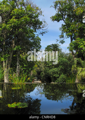 Laghetto e piante esotiche presso il Giardino Botanico La Orotava, Isole Canarie, Tenerife, Puerto De La Cruz Foto Stock