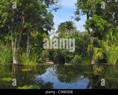 Laghetto e piante esotiche presso il Giardino Botanico La Orotava, Isole Canarie, Tenerife, Puerto De La Cruz Foto Stock