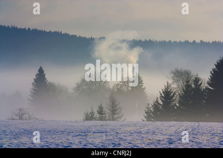 Atmosfera mattutina oltre il paesaggio innevato con nebbia, in Germania, in Sassonia, Vogtlaendische Schweiz Foto Stock