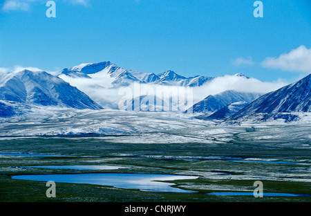 Brooks Range, STATI UNITI D'AMERICA, Alaska Denali Nationalpark Foto Stock