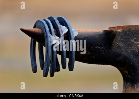 Ferri da cavallo su maniscalchi incudine Foto Stock