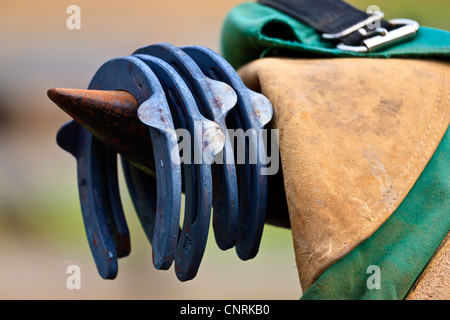 Ferri da cavallo su maniscalchi incudine Foto Stock