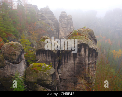 Vista dalla Bastei all'Elba montagne di arenaria in autunno, in Germania, in Sassonia, Parco Nazionale Saechsische Schweiz Foto Stock