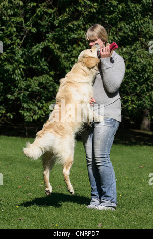 Golden Retriever (Canis lupus f. familiaris), una ragazza sta giocando con il suo cane nel parco, il cane è il salto per raggiungere il guanto in mano Foto Stock