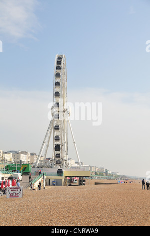 Vista completa della ruota di Brighton, Brighton East Sussex, Inghilterra Foto Stock