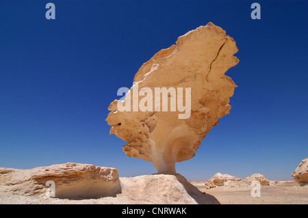 Il paesaggio del deserto con formazioni calcaree, Egitto, White Desert National Park Foto Stock