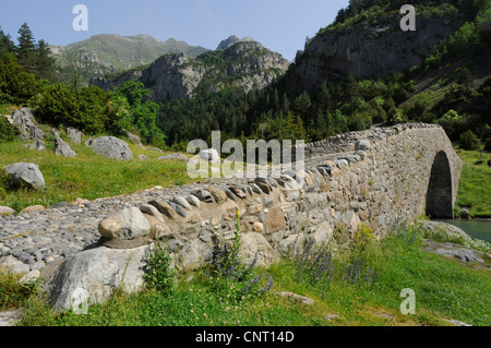 Il ponte di pietra nel Parco Nazionale di Ordesa, Spagna, Pirenei, Ordesa National Park Foto Stock