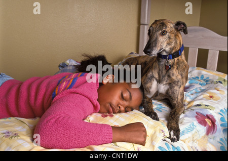 Etnico razziale multiculturale interracial 10-11 anni bambino addormentato levriero cane con collare close up © Myrleen Pearson ...Ferguson Cate Foto Stock