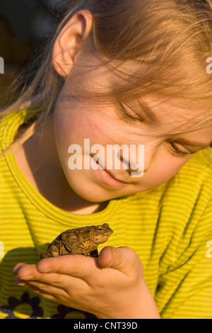 Europeo di rospo comune (Bufo bufo), la ragazza con un rospo comune sulla sua mano Foto Stock