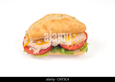 Tonno sandwich allo stato fuso su una ciabatta roll Foto Stock