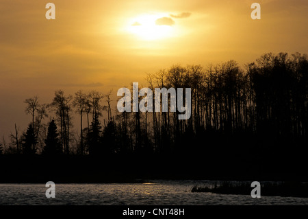 Astotin Lago di notte, Canada, Alberta, Elk Island National Park Foto Stock