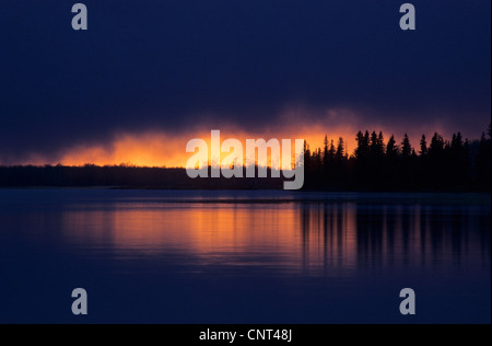 Astotin Lago di notte, Canada, Alberta, Elk Island National Park Foto Stock