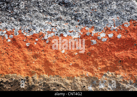 Sant Helens punto, dettaglio, Australia Tasmania Foto Stock