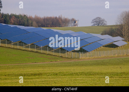Pannelli solari sul prato, in Germania, in Baviera Foto Stock