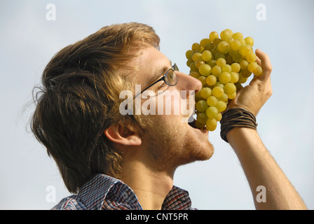 Giovane uomo mangiare un grappolo di uva, in Germania, in Renania Palatinato, Palatinato Foto Stock