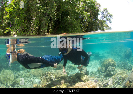 A livello diviso colpo di snorkelling a Restorf Isola, Kimbe Bay, Papua Nuova Guinea. Foto Stock