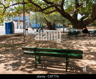 Vecchio Olivo a Exo Hora Foto Stock