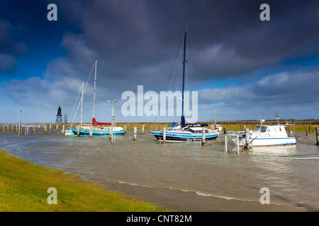 Alcune barche nel porto, Germania, Bassa Sassonia, Dorum-Neufeld Foto Stock