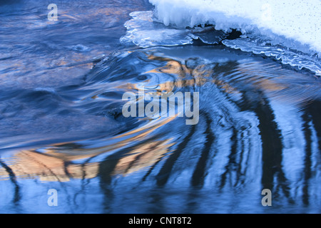 Coperta di neve paesaggio fluviale specchiato in acqua, Germania, Sassonia, Vogtlaendische Schweiz Foto Stock