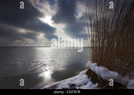 Lo scoppio di sun al mare in inverno, Germania, Meclemburgo-Pomerania, Wustrow am Bodden Foto Stock