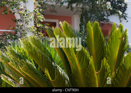 Hotel Bitzaro Palace, Kalamaki Foto Stock