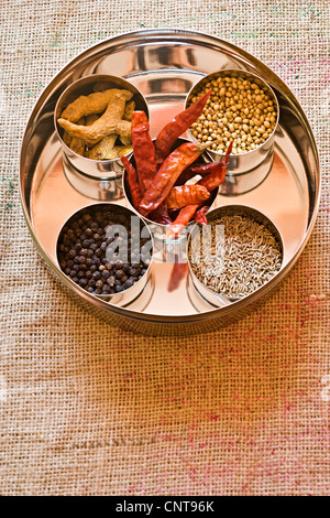 Ingredienti per masala spice Foto Stock