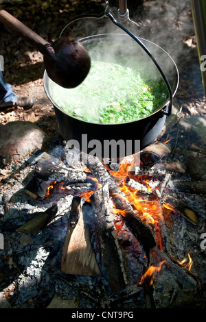 Consente di visualizzare in una pentola con la zuppa di verdure selvatiche ed erbe oltre a un falò, Germania Foto Stock