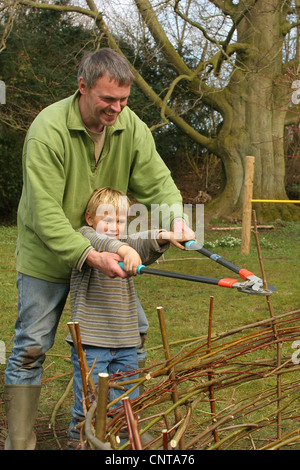 Padre e figlia creazione di un recinto da rametti di salice, Germania Foto Stock