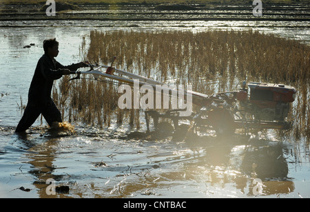 Laos, cantava Dist. Thong, la coltivazione del riso , l'aratura campo di riso con la mano il trattore cosiddetto ferro buffalo Foto Stock