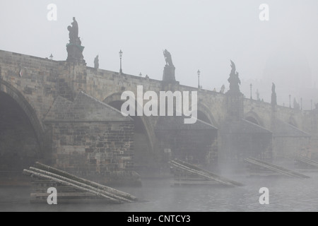 Nebbia mattutina sul Ponte Carlo a Praga, Repubblica Ceca. Foto Stock