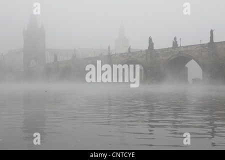 Nebbia mattutina sul Ponte Carlo a Praga, Repubblica Ceca. Torre del Ponte della città vecchia è visto in background. Foto Stock