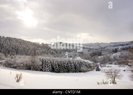 Unico edificio residenziale in una coperta di neve bosco e prato paesaggio, in Germania, in Renania Palatinato, Niederfischbach Foto Stock