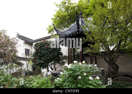 Cina，turismo，Fotografia，sky，Rock，Pond，destinazioni di viaggio，Cultura Cinese，stone，tree，Giardino Formale，Pietra miliare nazionale，flower， Foto Stock