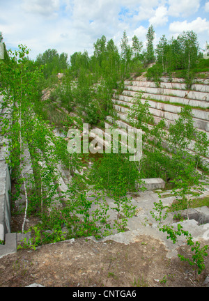 Vecchia cava di marmo ricoperta con alberi giovani Foto Stock