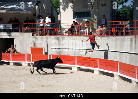 Arena dei Tori areni Albert Laty; la corrida con adolescenti, Francia Provenza, Piano d'Orgon Foto Stock