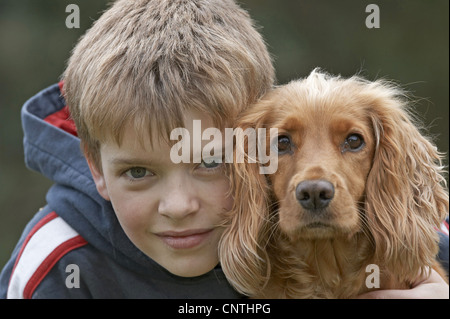 American Cocker Spaniel (Canis lupus f. familiaris), il ritratto di un ragazzo con il suo cane Foto Stock